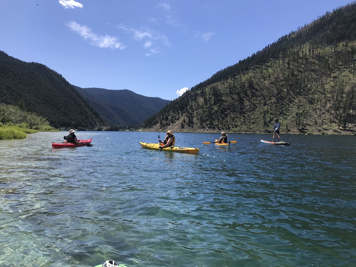 Paddling 