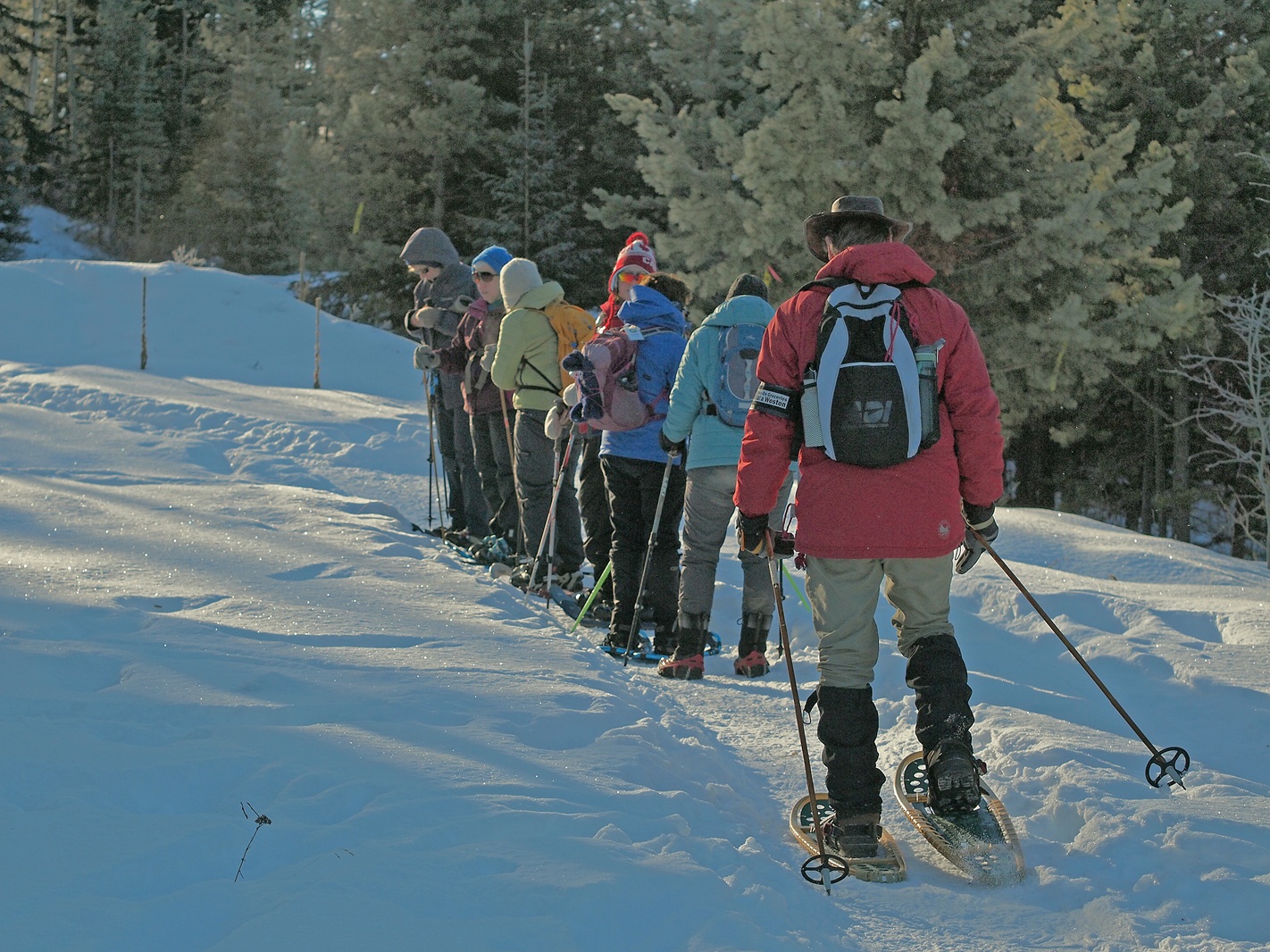 snowshoeing